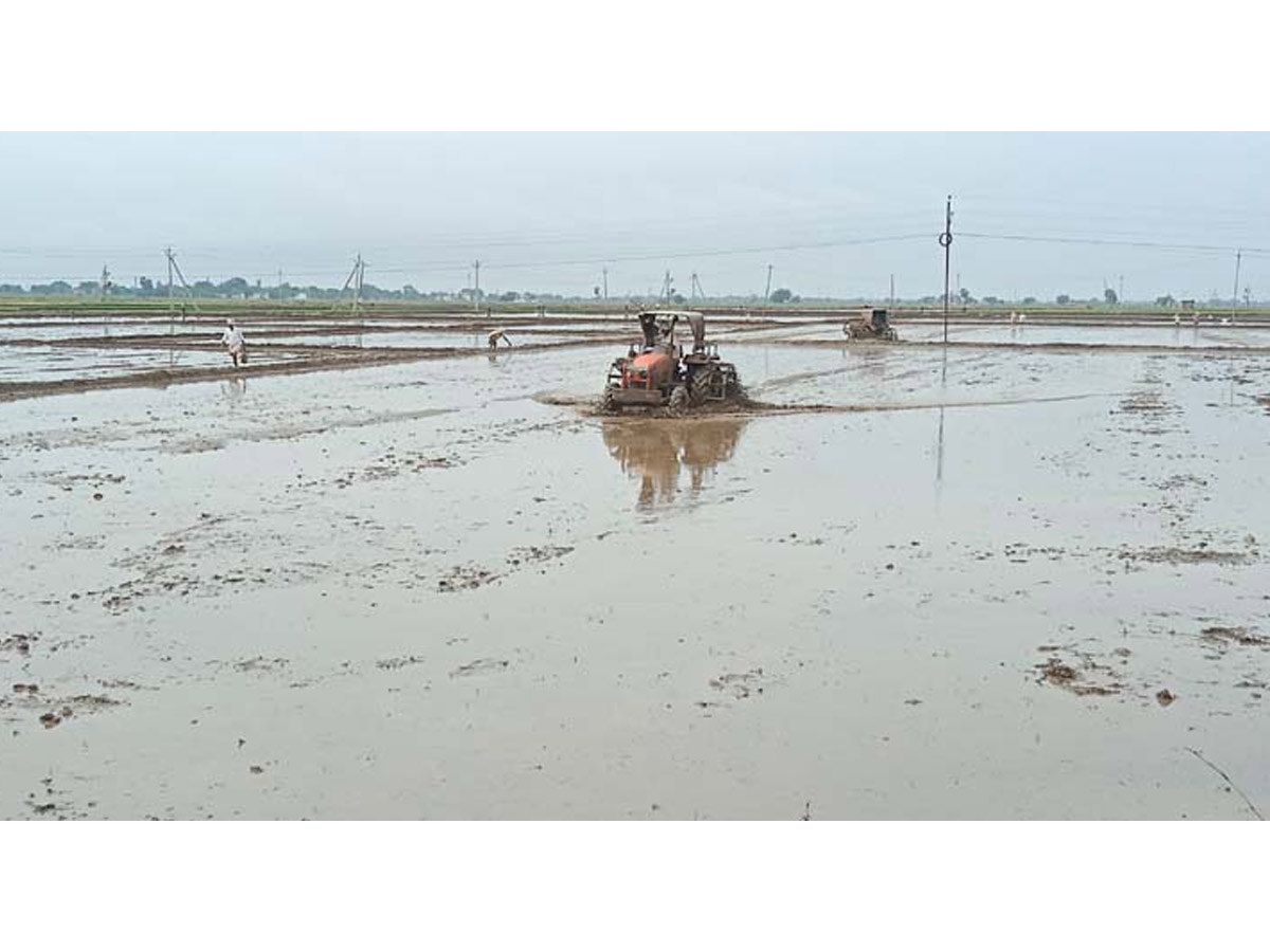 Heavy Rains In Telugu States Photos3