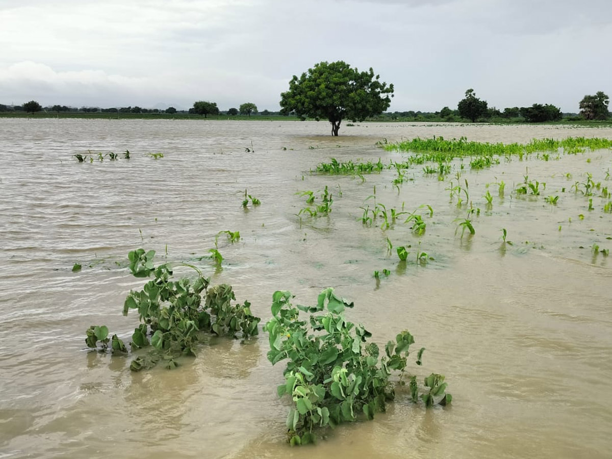 Heavy Rains In Telugu States Photos33