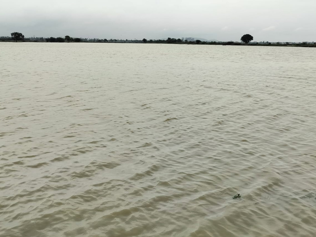Heavy Rains In Telugu States Photos34