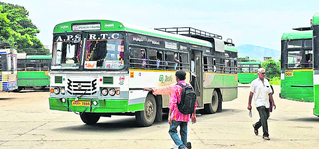 ఆల్బెండజోల్‌ మాత్రలను తప్పక తీసుకోవాలి1