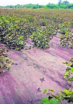 నీట మునిగిన ఆశలు1