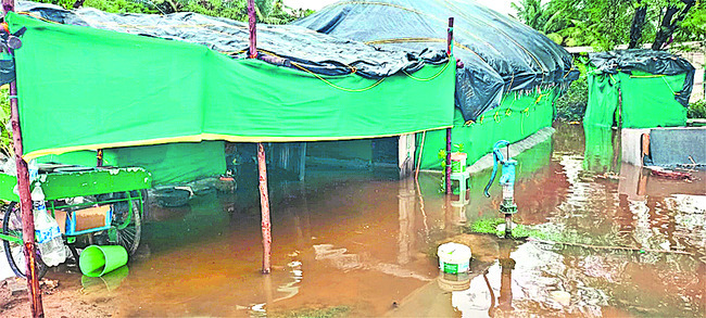 పంటలు వర్షార్పణం 2
