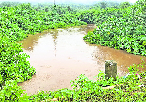 ఉధృతంగా గెడ్డలు 3