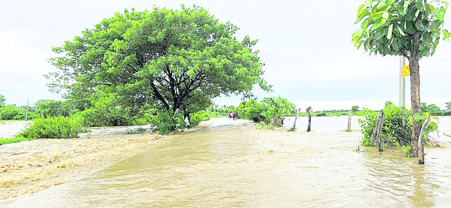 ● జిల్లావ్యాప్తంగా భారీ వర్షం ● ఉధృతంగా ప్రవహించిన వాగు4