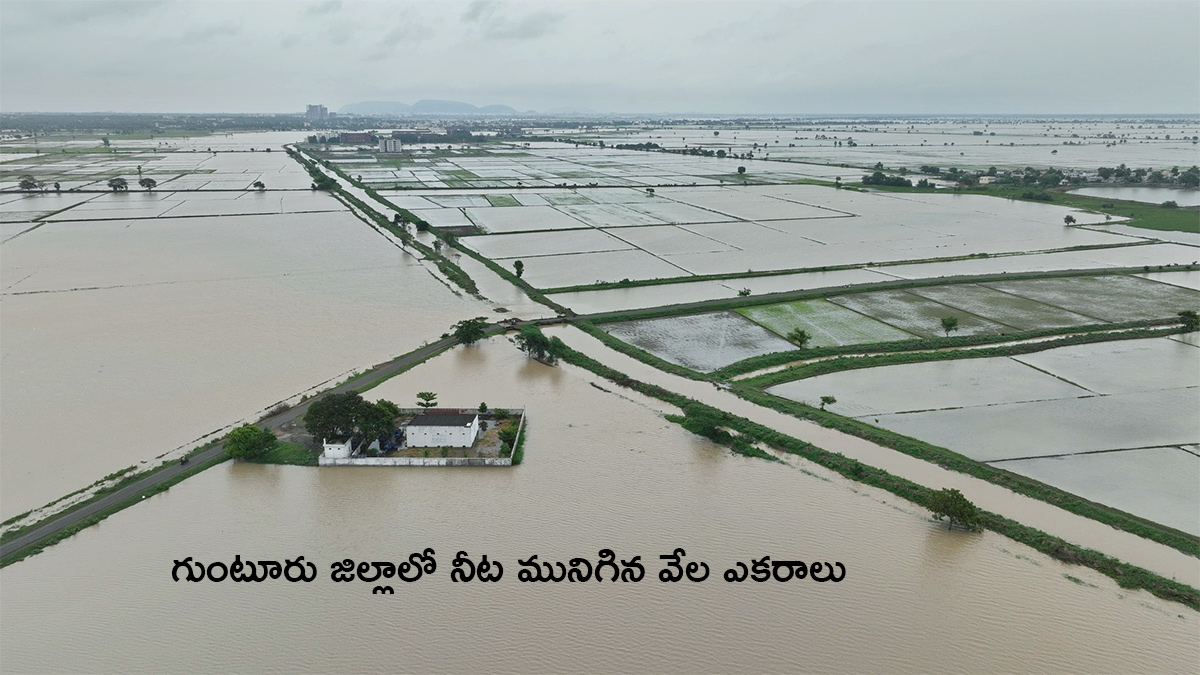 Heavy Rain Amaravati Iconic Towers Flooded Again Photos8