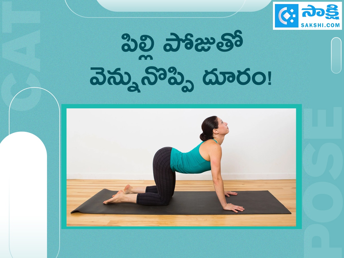 Marjariasana: How to do Cat Pose And Its Benefits1