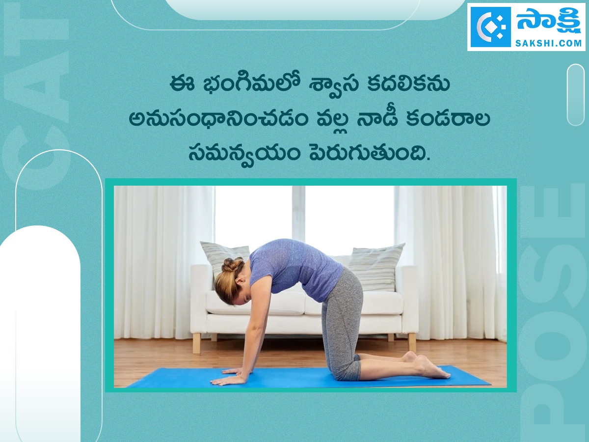 Marjariasana: How to do Cat Pose And Its Benefits6