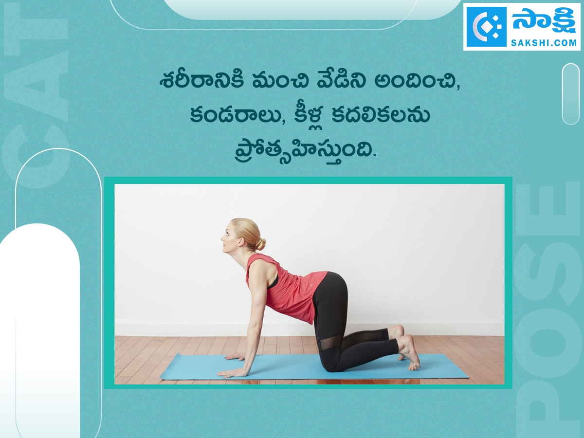 Marjariasana: How to do Cat Pose And Its Benefits8