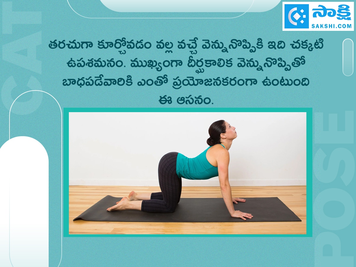 Marjariasana: How to do Cat Pose And Its Benefits9