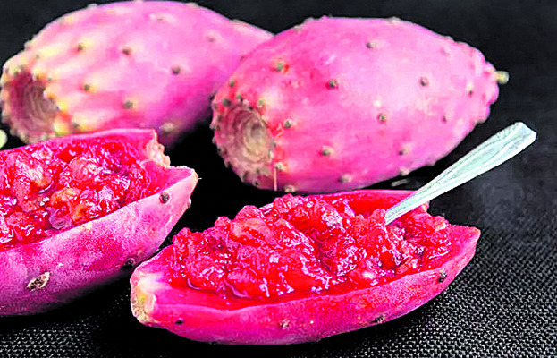 మన పండు బ్రహ్మాండం! 2