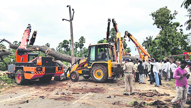 చెట్టు కూలి బైకుపై వెళ్తున్న వ్యక్తి మృతి 1