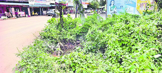 డా. బి ఆర్ అంబేడ్కర్ కోనసీమ2