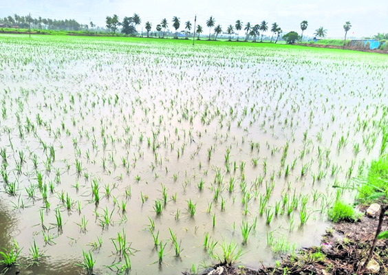 నిండా ముంచేను
1