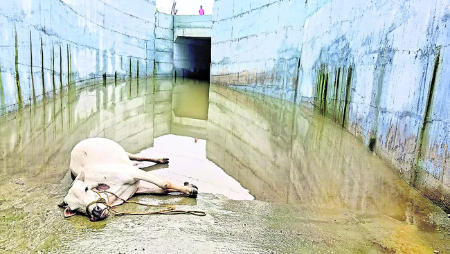 అధికారులు అప్రమత్తంగా ఉండాలి
1
