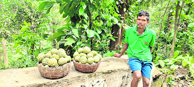 మధుర ఫలాలు.. చేదు ఫలితాలు2