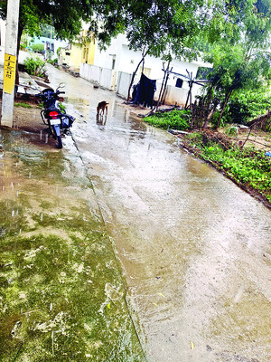 జగన్‌.. నీరాజనం3