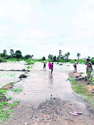 పదేళ్లలో అత్యధికం.. 37.5అడుగులు1