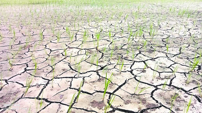 అలుగు పారుతున్న జగిర్యాల చెరువు1