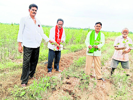 దుర్గమ్మకు కానుకగా  బంగారు లక్ష్మీహారం3
