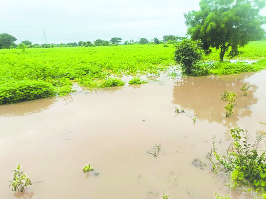 సాహసానికి పురస్కారం 1