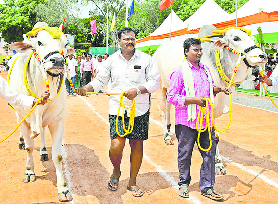 భువనాన త్రివర్ణ శోభితం5