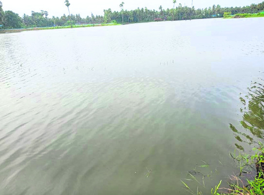 నిండా ముంచిన గోస్తనీ 1