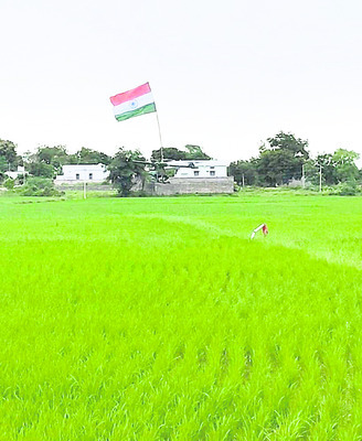 కలెక్టర్‌ క్యాంపు ఆఫీస్‌లో4