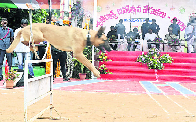 ఆర్‌డబ్ల్యూఎస్‌ శకటానికి ప్రథమ బహుమతి 
7
