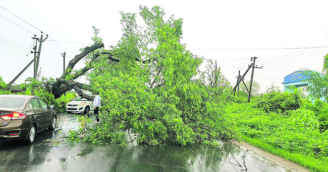 కాలనీలు జలమయం7