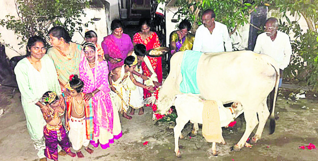 ఆవు, దూడకు బారసాల
2