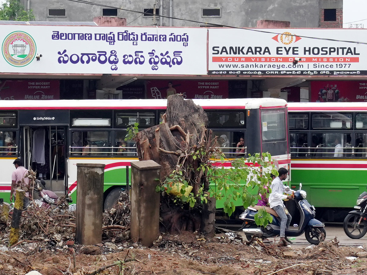 Best Photos of The Week in AP and Telangana Photo Gallery12