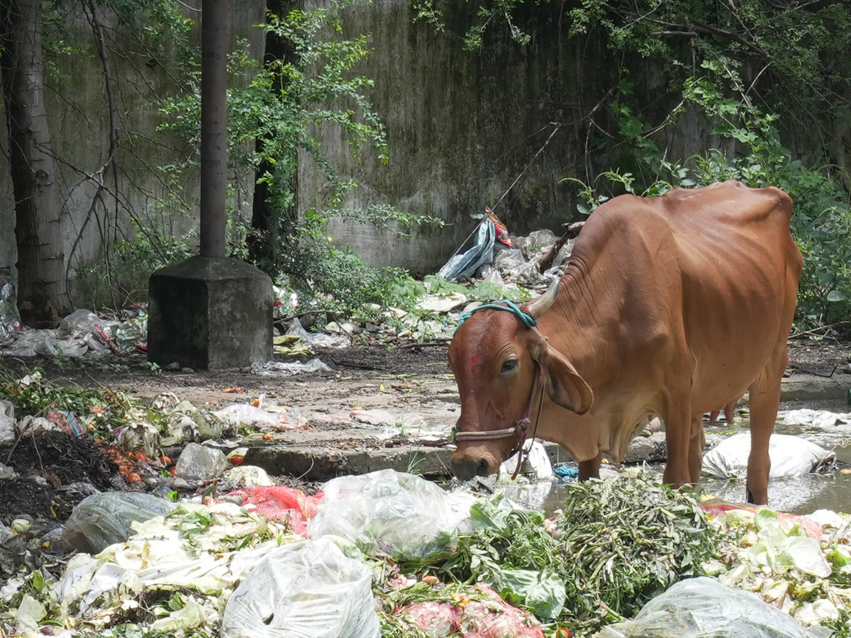 Best Photos of The Week in AP and Telangana Photo Gallery13