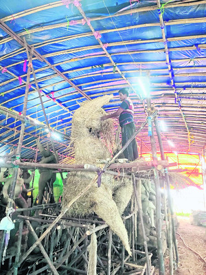 ‘మట్టి’ మేలు తలపెట్టవోయ్ !1