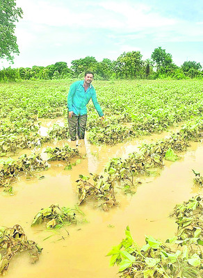 జైనథ్‌, సాత్నాల, భోరజ్‌ మండలాల్లో..
1