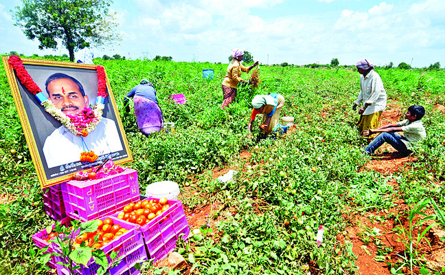 పదాలు అవసరం లేదు.. ఒక్క ఫొటో చాలు! 2