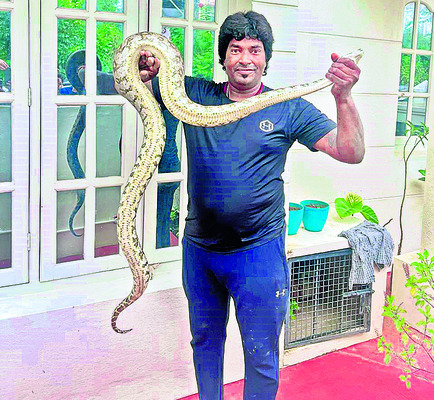 కారెక్కిన కొండచిలువ 1