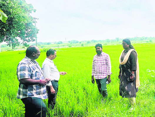 బాల్‌ బ్యాడ్మింటన్‌  జిల్లా జట్ల ఎంపిక1