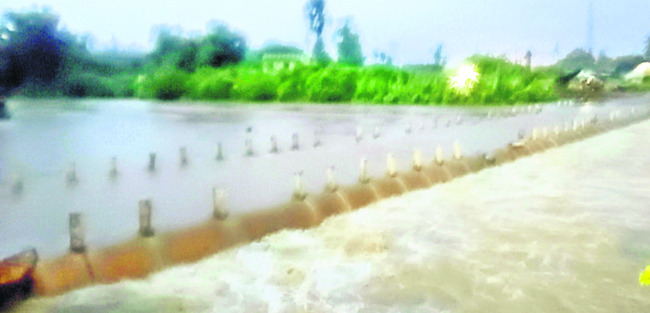 జల జీవనం 5