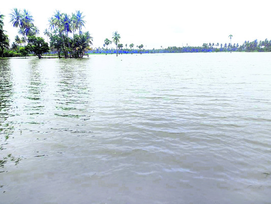 ముంచుతున్న ముసురు2