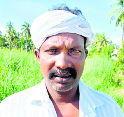ముంచుతున్న ముసురు5