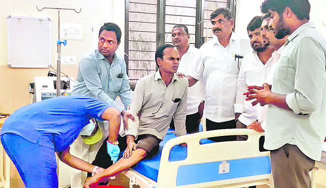 వీధి కుక్కల వీరంగం1