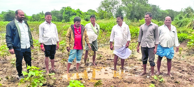 విస్తారంగా వర్షాలు.. 1