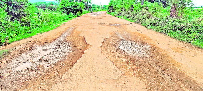 తక్షణమే రోడ్డు నిర్మించాలి 
3