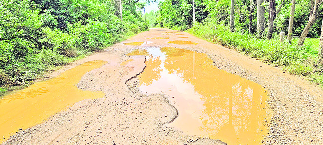 తక్షణమే రోడ్డు నిర్మించాలి 
4