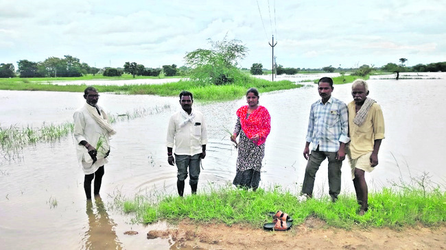 వర్షం.. నష్టం2