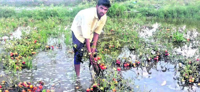 వర్షం.. నష్టం1