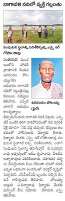 పల్లకిలో పెళ్లికూతురి ఊరేగింపు1