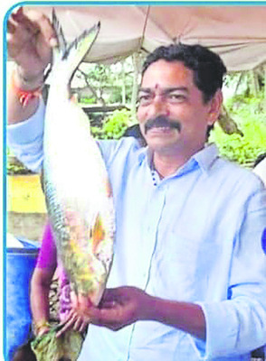 పులసా.. గోదారంటే అలుసా!3