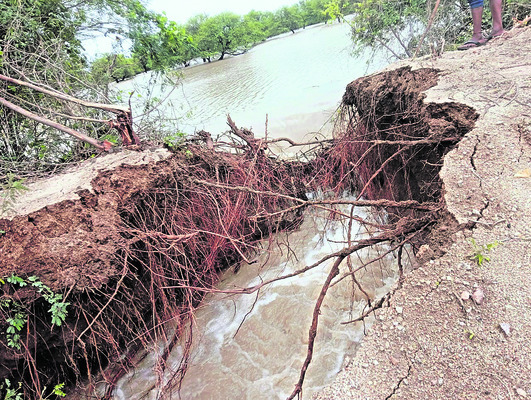 వానజోరు.. వరద హోరు 5