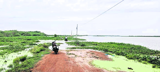 గోదావరి వడివడి.. కొల్లేరులో అలజడి1
